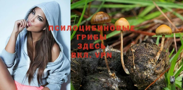 трава Алексеевка